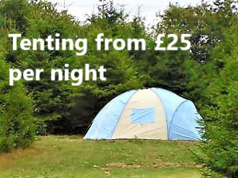 Tent Located In Trees, Words Reading Tenting From £15 Per Night