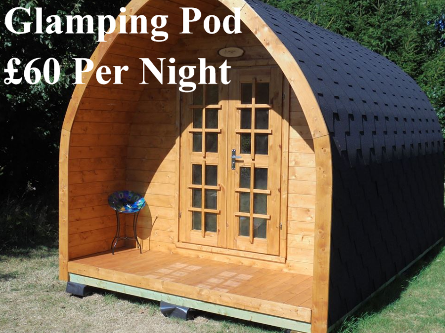 Glamping Pod, words reading Glamping from £50 per night